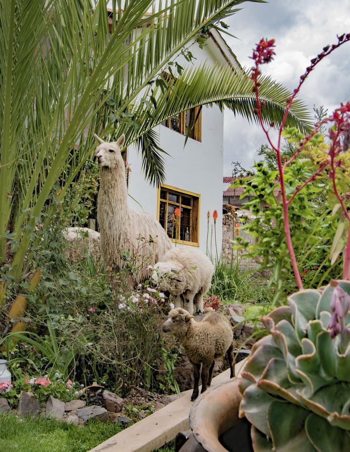 Inkita Boutique Guesthouse Cuzco Eksteriør bilde