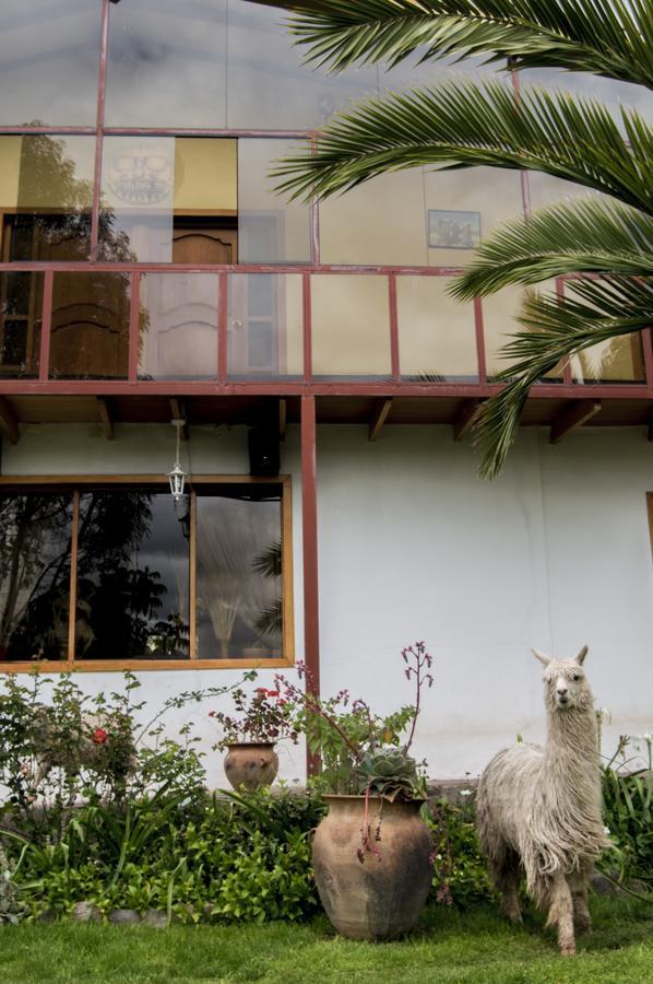 Inkita Boutique Guesthouse Cuzco Eksteriør bilde